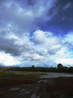 Restoring an Estuary